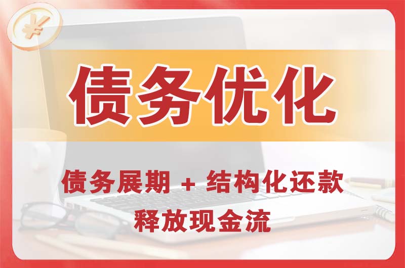 博野债务优化