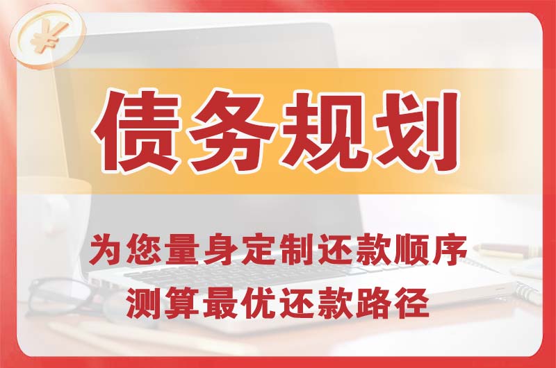 博野债务规划